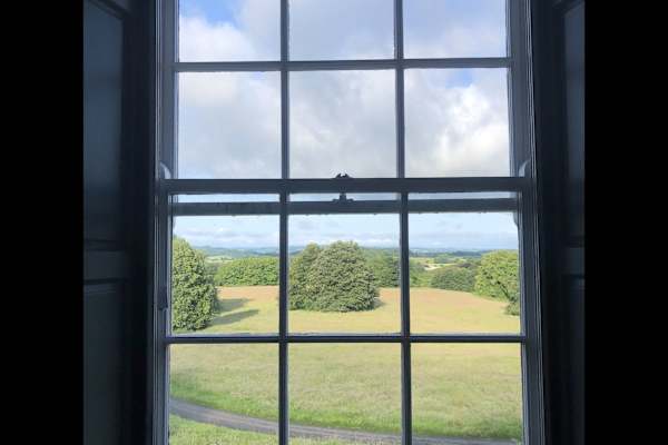 House sit in Exeter, United Kingdom