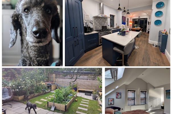 House sit in Chorlton, United Kingdom