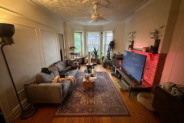 House sit in Brooklyn, NY, US
