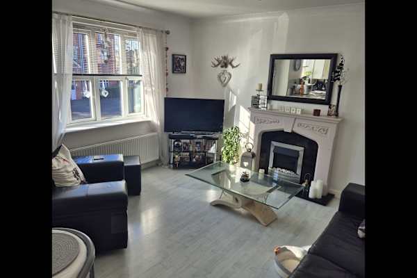 House sit in Sheffield, United Kingdom