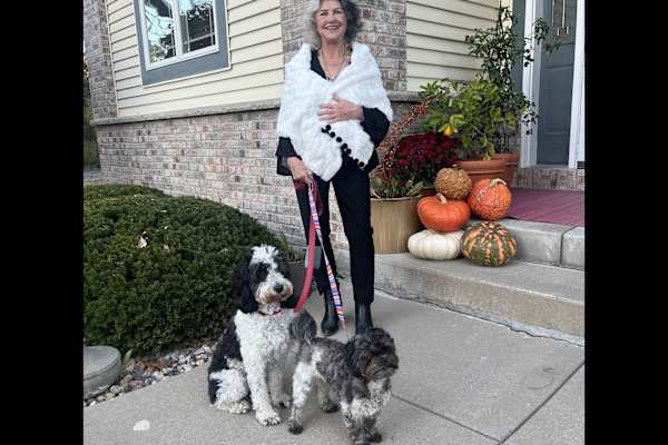 House sit in Madison, WI, US