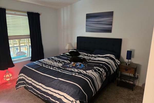 House sit in Florence, OR, US