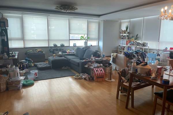 House sit in Busan, South Korea