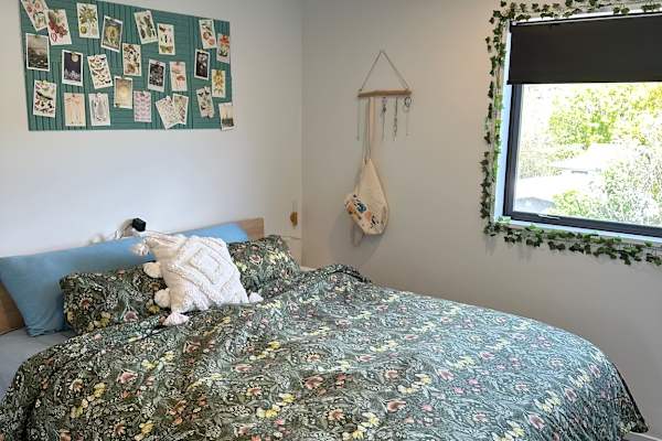 House sit in Glen Eden, New Zealand