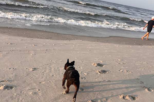 House sit in Myrtle Beach, SC, US