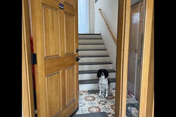 House sit in Edwards, CO, US