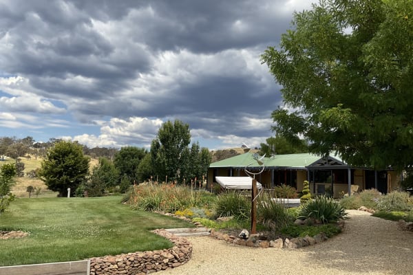 House sit in Canberra, Australian Capital Territory, Australia