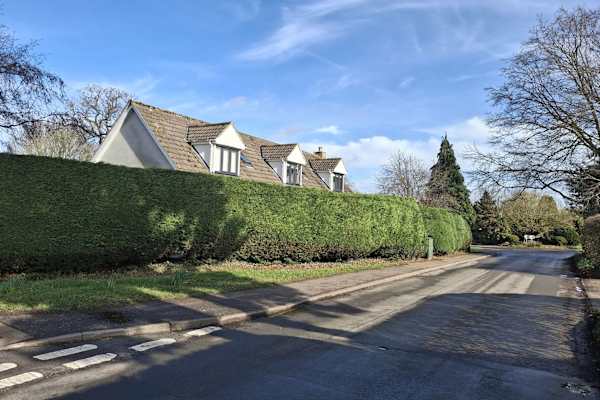 House sit in Norwich, United Kingdom