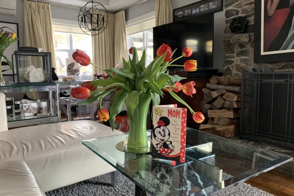 House sit in Lewis Lake, NS, Canada