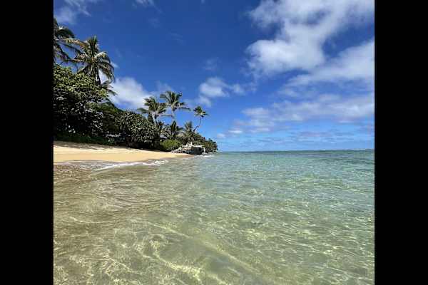 House sit in Hau‘ula, HI, US