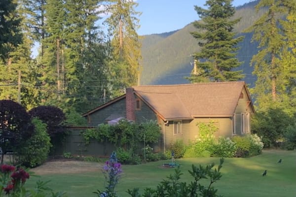 House sit in Nelson, BC, Canada