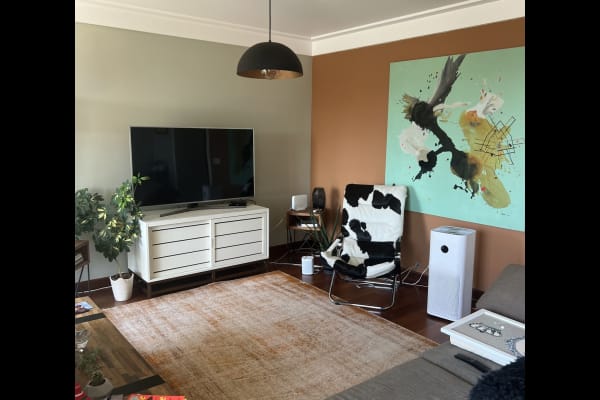 House sit in İstanbul, Turkey