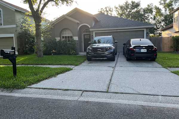 House sit in Tampa, FL, US