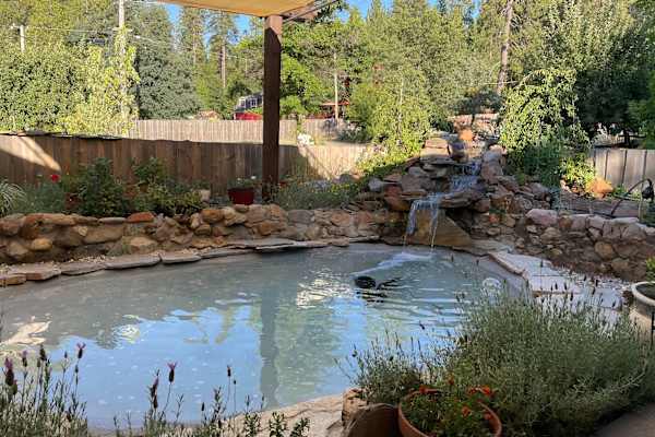 House sit in Murphys, CA, US