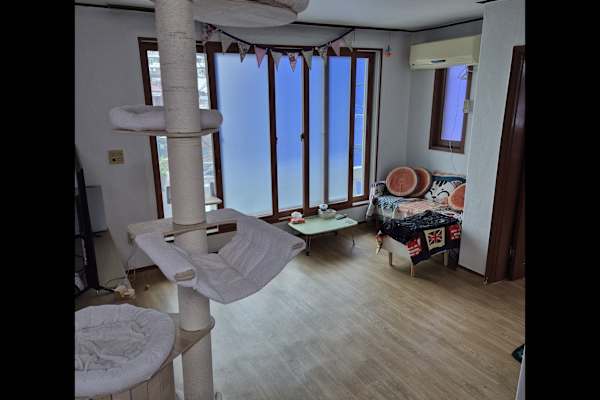House sit in Seoul, South Korea