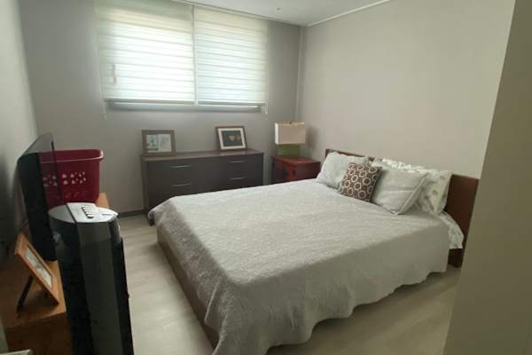 House sit in Pyeongtaek, South Korea