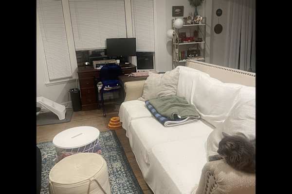 House sit in Oakland, CA, US
