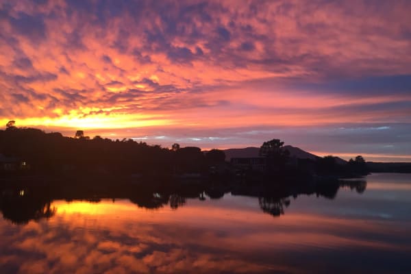 House sit in Tiburon, CA, US