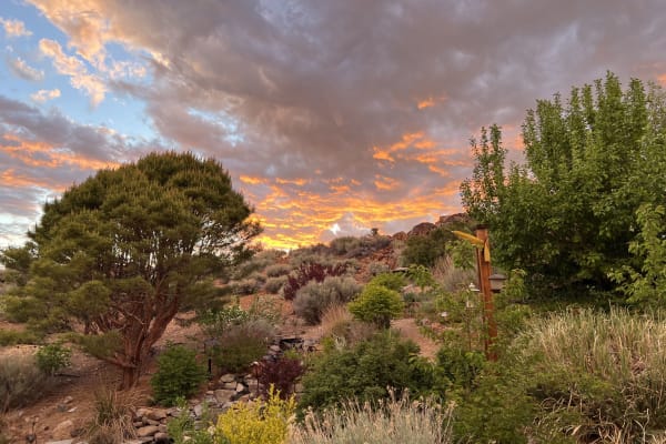 House sit in Reno, NV, US