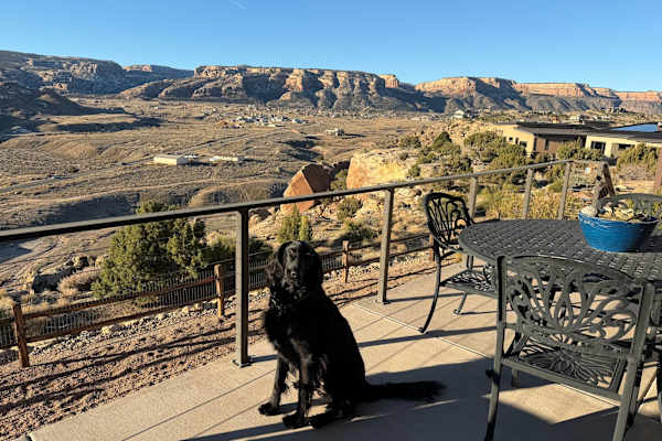 House sit in Grand Junction, CO, US