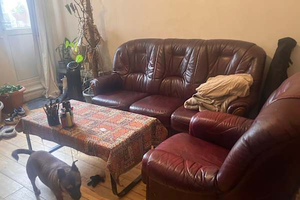 House sit in London, United Kingdom