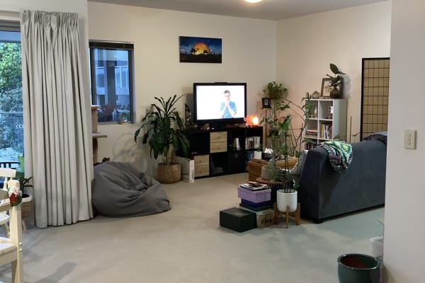 House sit in Gold Coast, QLD, Australia