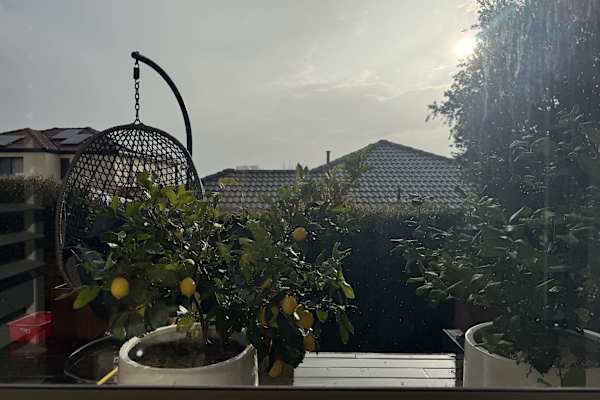 House sit in Canberra, Australian Capital Territory, Australia