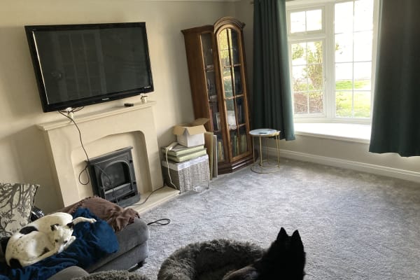 House sit in Cranleigh, United Kingdom