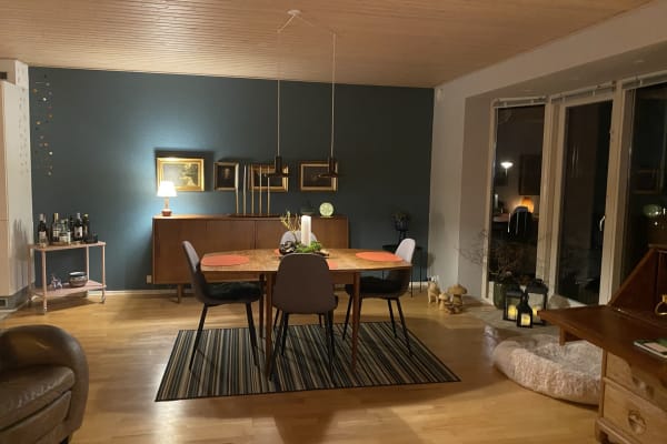 House sit in Svendborg, Denmark