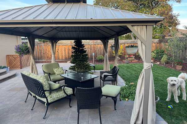 House sit in Redwood City, CA, US