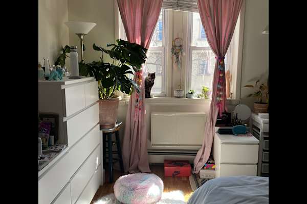 House sit in Brooklyn, NY, US