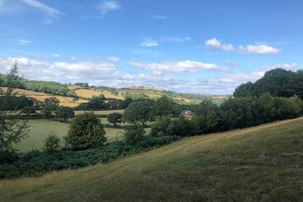 House sit in Newtown, United Kingdom