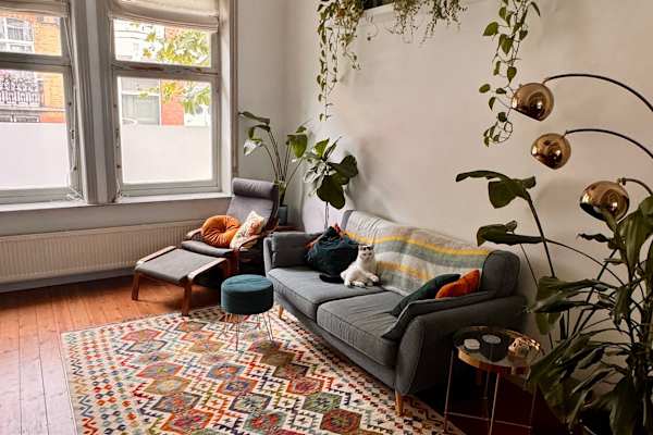 House sit in Schaerbeek, Belgium