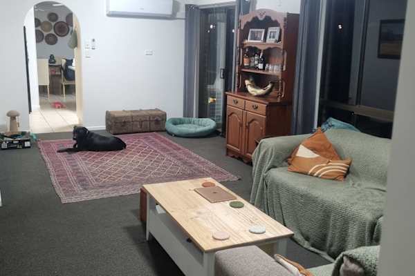 House sit in Caloundra, QLD, Australia