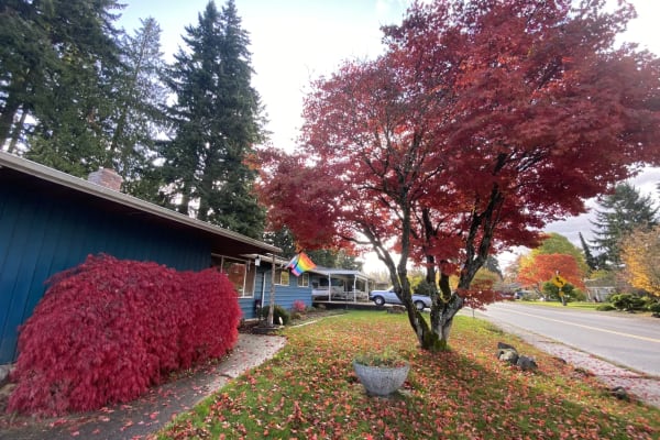 House sit in Everett, WA, US