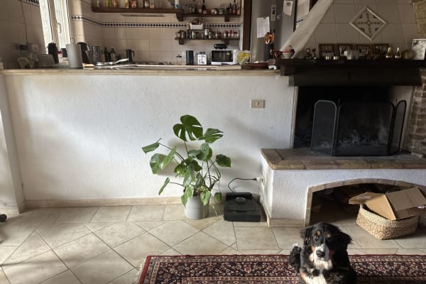 House sit in Rome, Italy