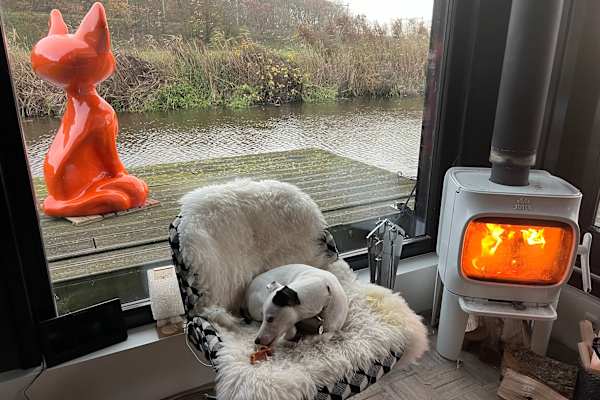 House sit in Bennebroek, Netherlands