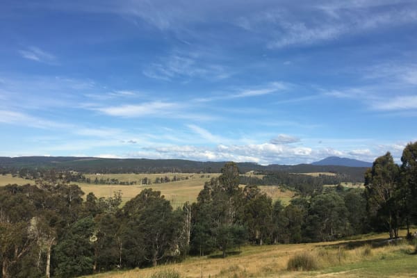 House sit in Pipers River, TAS, Australia
