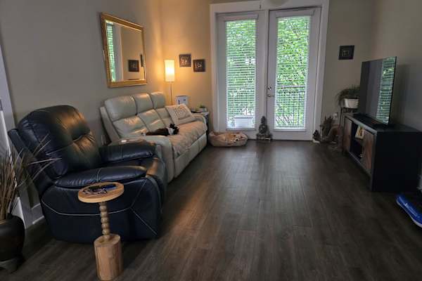 House sit in Atlanta, GA, US