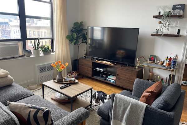 House sit in New York City, NY, US