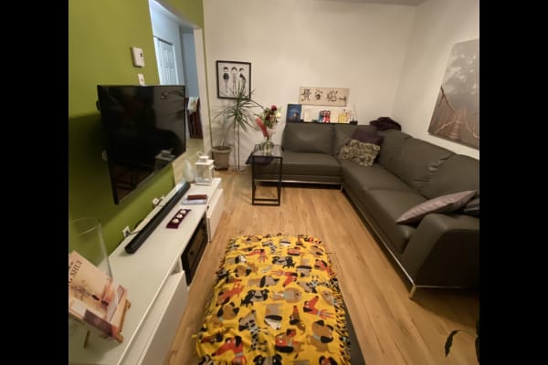 House sit in Montréal, QC, Canada