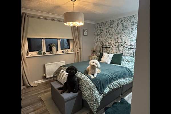 House sit in Durham, United Kingdom