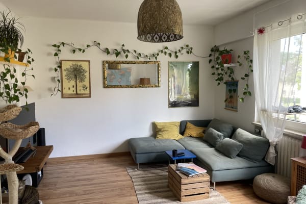 House sit in Trier, Germany