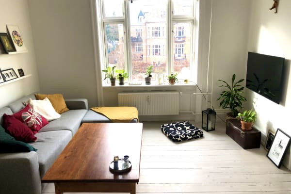 House sit in Copenhagen, Denmark
