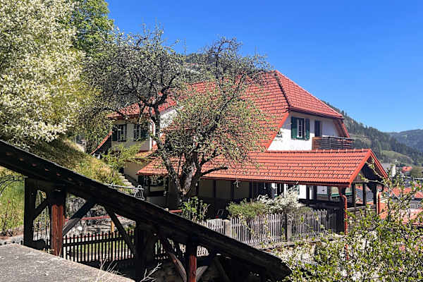 House sit in Murau, Austria