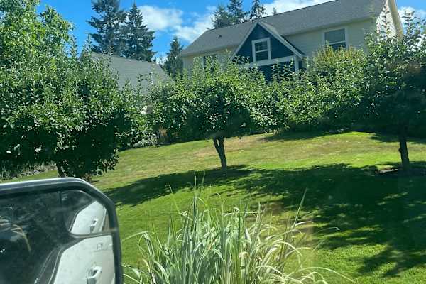 House sit in Poulsbo, WA, US