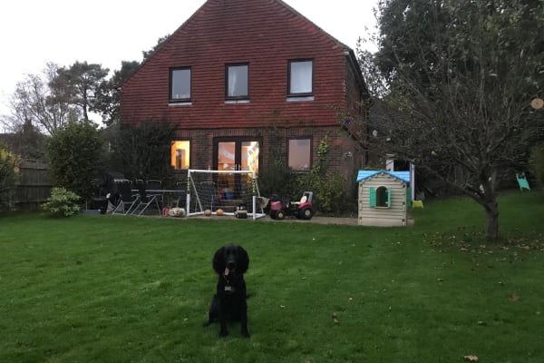 House sit in Cranleigh, United Kingdom