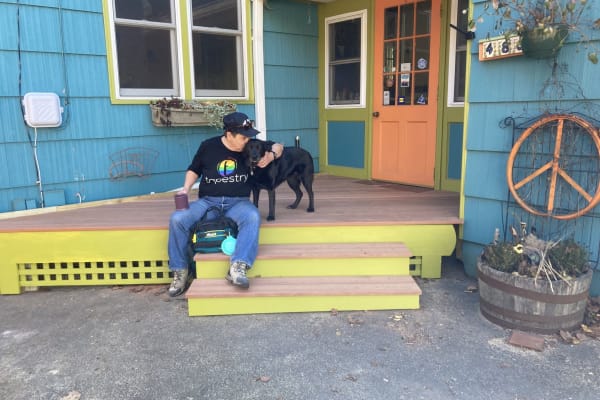 House sit in Northampton, MA, US