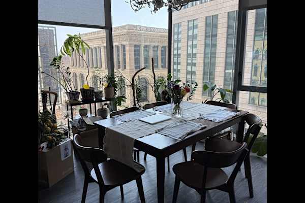 House sit in Chicago, IL, US