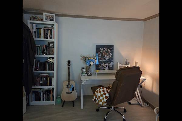 House sit in Seoul, South Korea